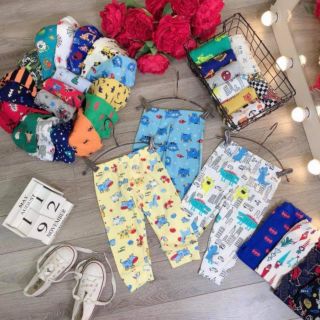 Quần chục bozip cotton