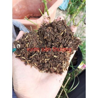 Đất trồng dành riêng cho hoa hồng cao cấp 20dm3