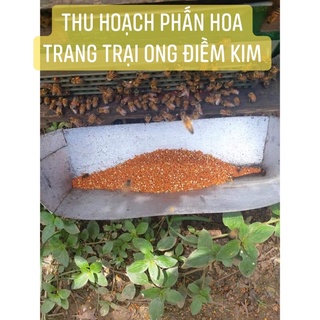 Phấn Hoa Ong 100% nguyên chất