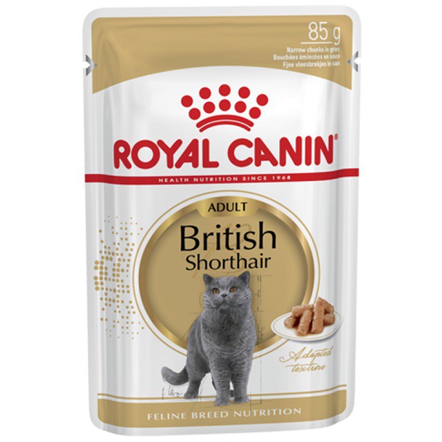 pate súp dành riêng cho mèo anh lông ngắn (British shorthair) royal canin