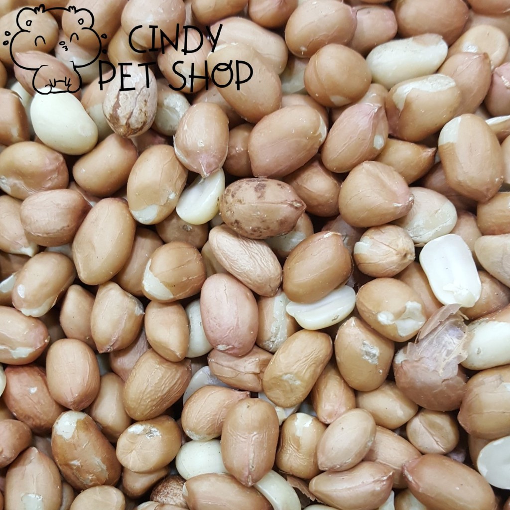 Đậu phộng sống 1kg - thức ăn cho Hamster