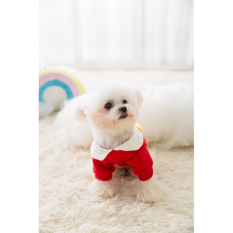 ÁO TẾT 2021 DÀNH CHO THÚ CƯNG