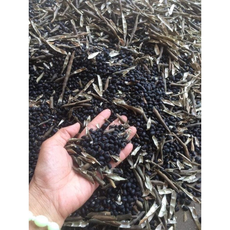 500 gram đỗ đen xanh lòng quê rang sẵn