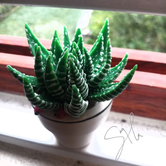 Móng rồng đất sét 5cm