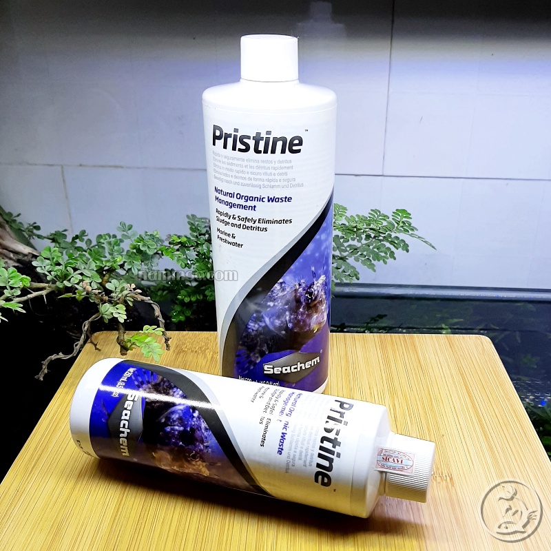 Seachem Pristine | Vi Sinh Phân Huỷ Tự Nhiên - Cao Cấp Dành Cho Bể Cá Cảnh, Thuỷ Sinh