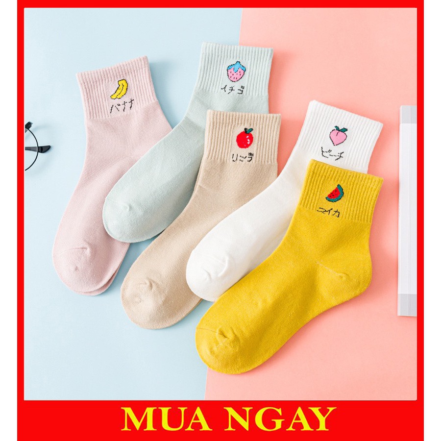 Tất Nữ Cổ Cao Họa Tiết Hoa Quả TN56