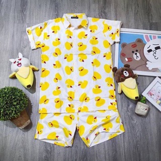 Set bộ trái cây