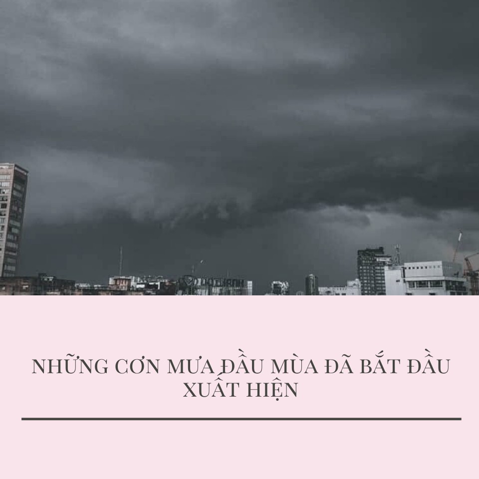 Áo mưa cánh dơi Tribeco HKM quà tặng từ TRIBECO