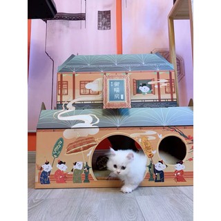 NHÀ CÀO MÓNG HOÀNG CUNG 2 TẦNG DÀNH CHO MÈO 2020 HOT TIKTOK 62x31x60cm