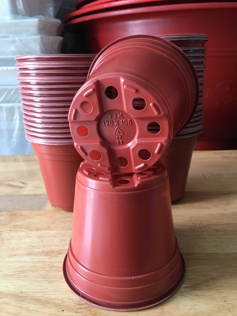 Combo Chậu Nhựa Mỏng Dẽo Nâu Đỏ, Vành Cứng Trồng Cây, Ươm Cây, Gieo Mầm (7size)