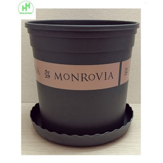 1 Bộ Chậu Nhựa Trồng Hoa Cây Cảnh (Chậu + Đĩa) MONROVIA CN 1,5Gal