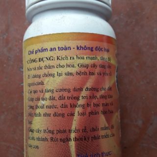 Bộ đôi men vi sinh ủ cá, đậu tương lên men