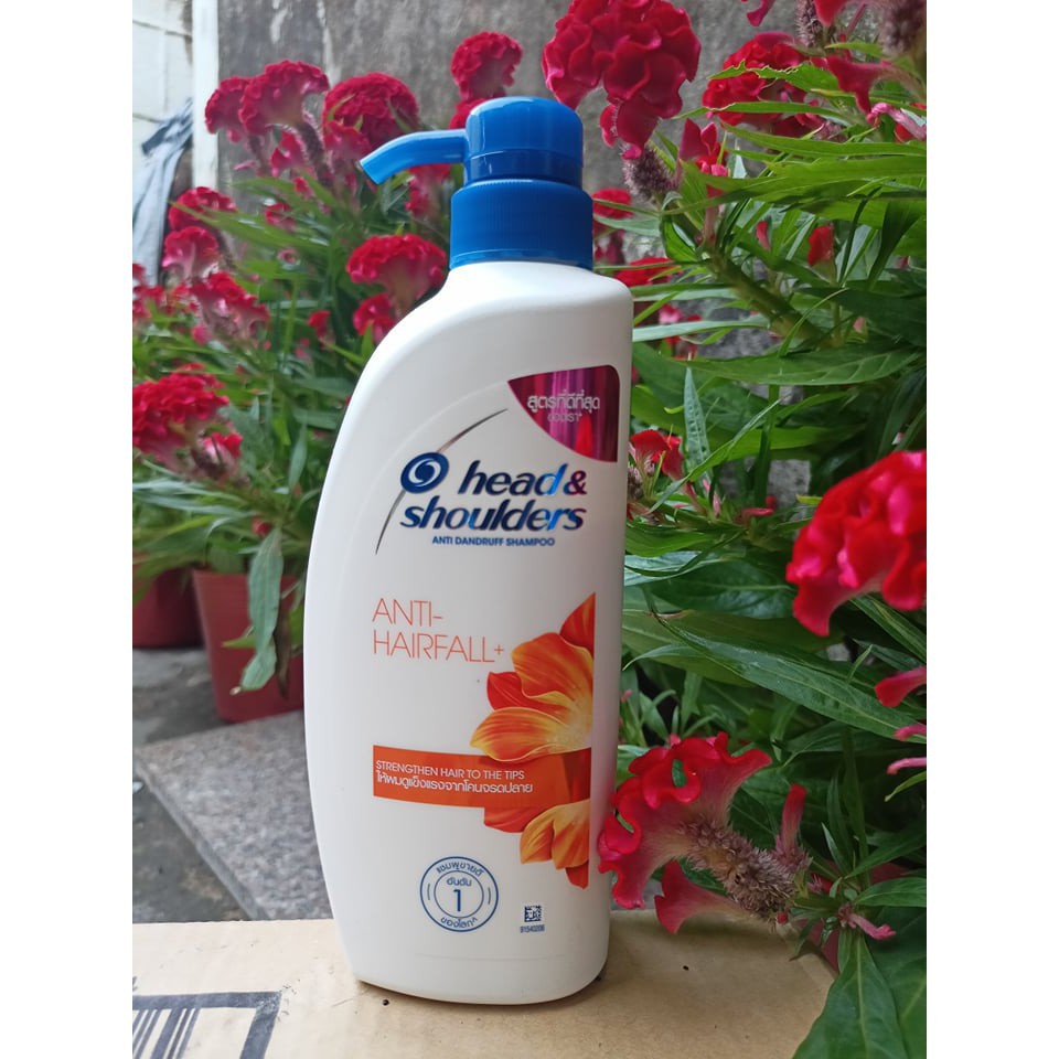 Dầu Gội – Head & Shoulders Anti Hair Fall 480ML THAILAND