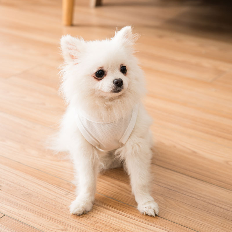 Quần áo cho chó con Bomei Bulldog Teddy Quần áo thoáng khí Quần áo mỏng quần áo cho chó Quần áo thú cưng Quần áo thể thao