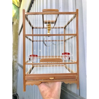 LỒNG KHUYÊN NAN CÁP QUANG SIÊU ĐẸP