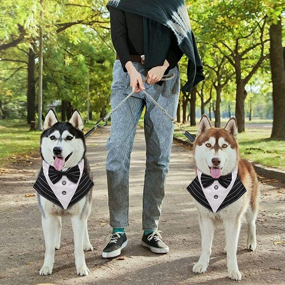 Khăn Choàng Cổ Tuxedo Hình Nơ Có Thể Điều Chỉnh Cho Thú Cưng