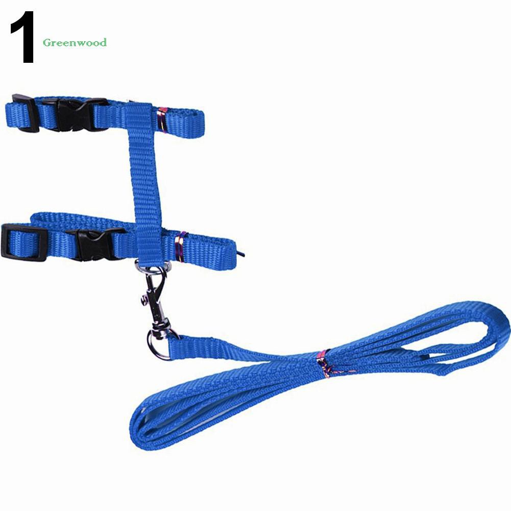 Dây đeo dắt mèo đi dạo thiết kế thoải mái