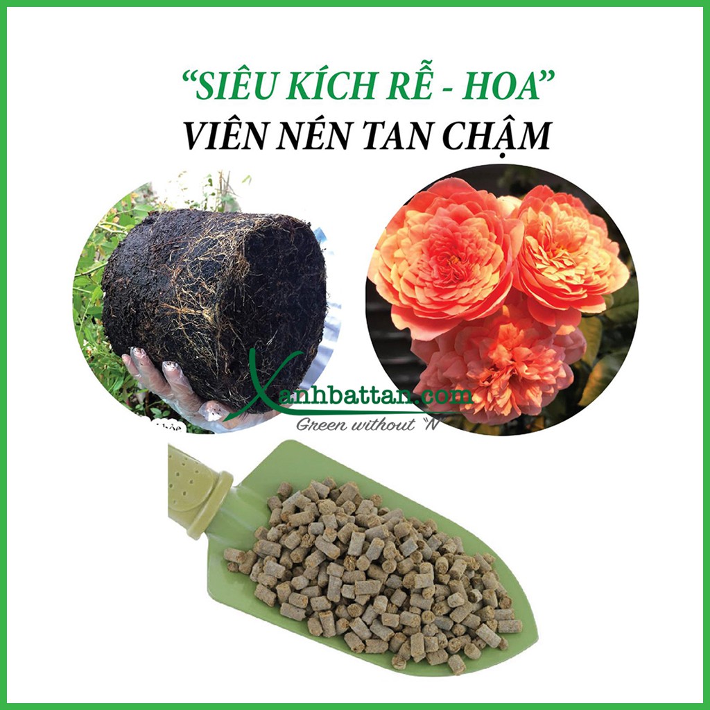 Phân rong biển siêu kích rễ kích mầm 1 kg