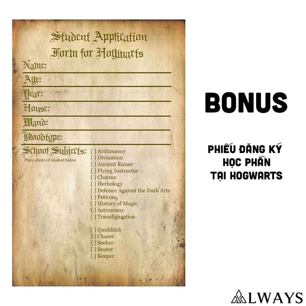 Bộ thư nhập học Hogwarts bản chuẩn Harry Potter - ALWAYS STORE