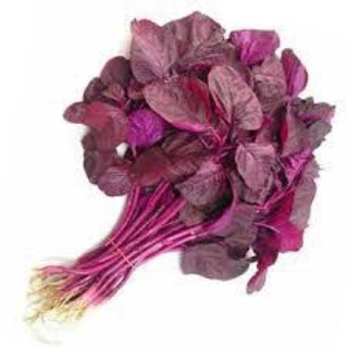 Hạt giống rau dền đỏ 50gr