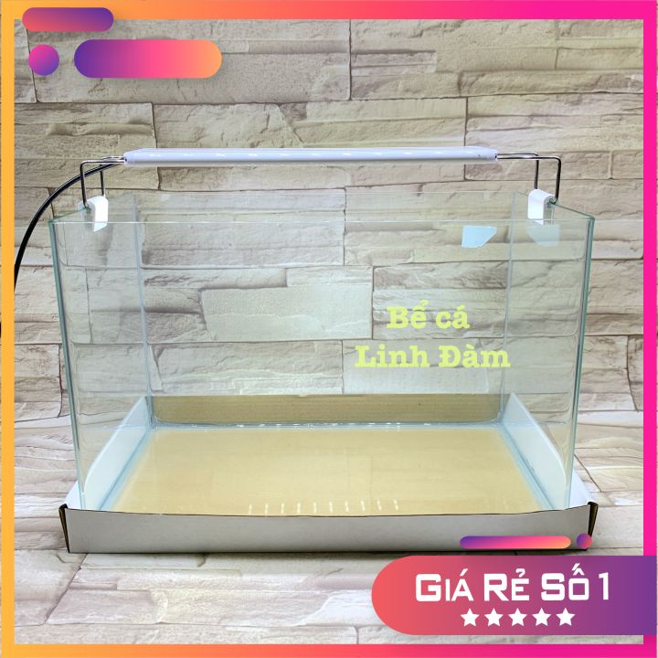 Bể Cá Chữ Nhật 35cm Kính Đúc Bo Góc Đẹp - Bể Cá Mini Dài 35cm