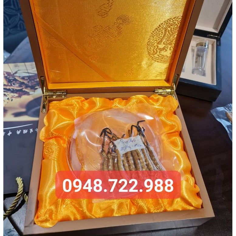 Quà Biếu Thượng Hạng - Đông Trùng Hạ Thảo Na Khúc Tây Tặng