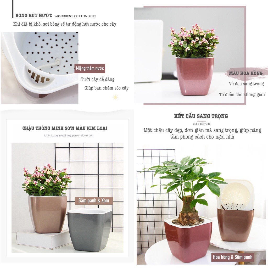 Chậu trồng cây để bàn thông minh cỡ nhỏ Oliz Có chức năng tự tưới nước cho cây