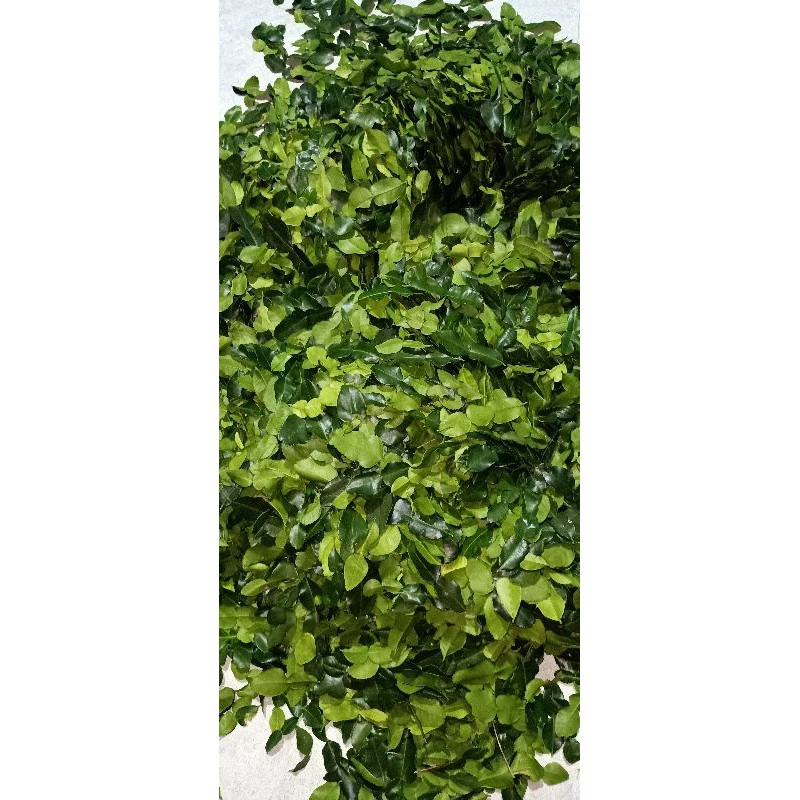 Lá chúc lá chanh thái 1kg