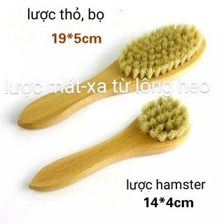 lược mát xa từ lông heo dành cho hamster/sóc/thỏ/bọ/nhím