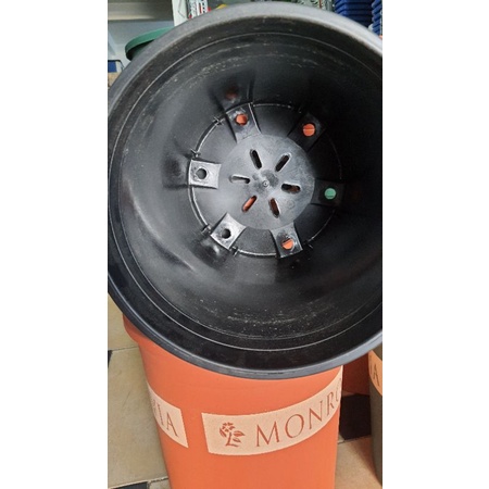 chậu MONROVIA 5GL trồng hoa hồng siêu đẹp đường kính 27cm