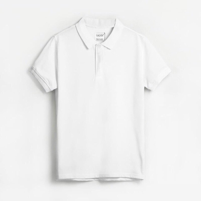 [Mã SKAMA06 giảm 8% tối đa 50K đơn 250K] Áo PO-LO nam 5 màu(hàng xuất) | BigBuy360 - bigbuy360.vn