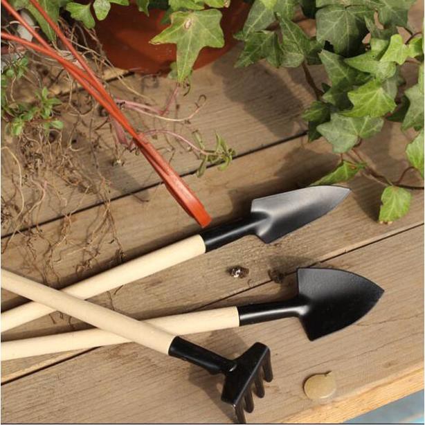 Bộ làm vườn mini kiểu dáng đẹp - Dụng cụ làm vườn nhỏ gọn 3 món