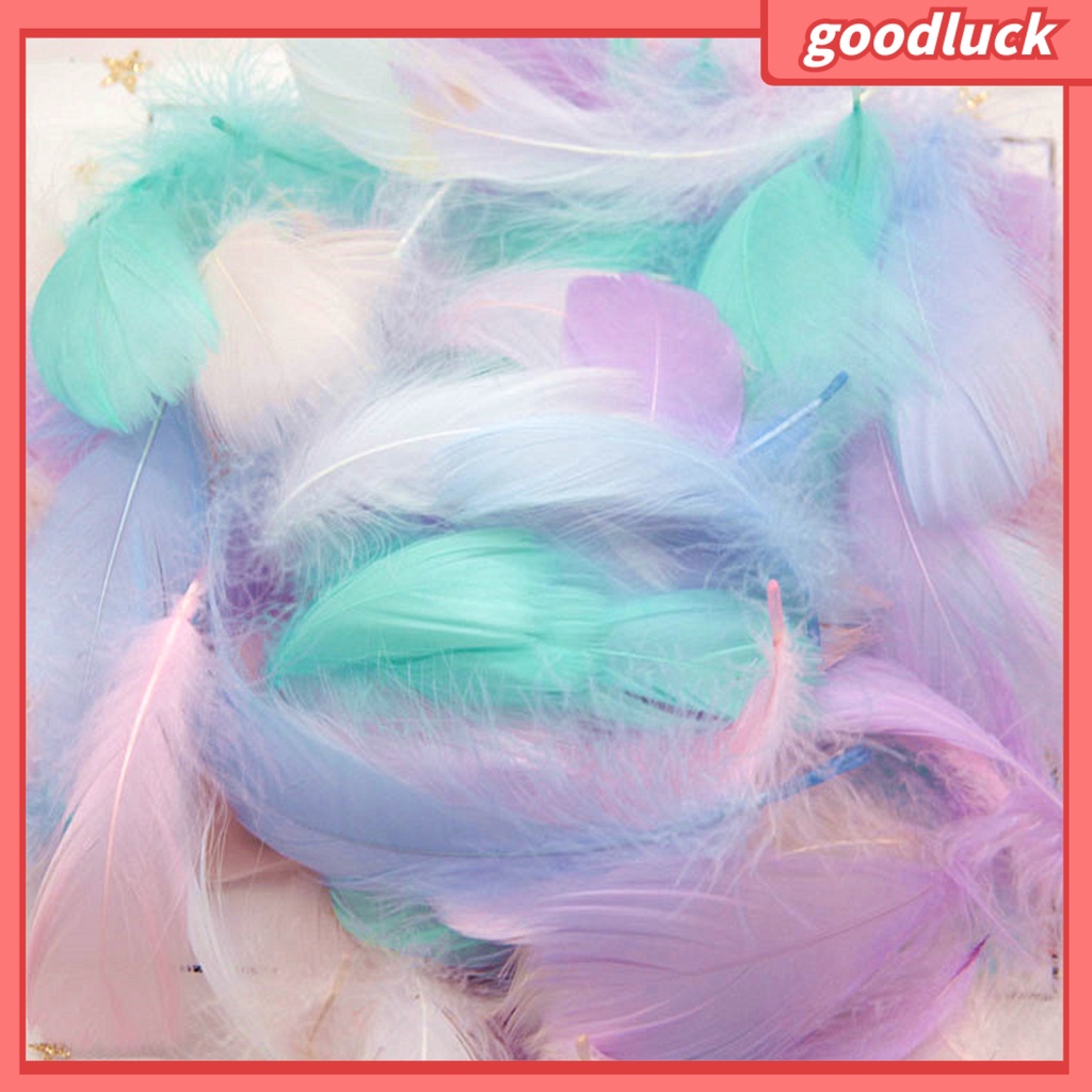 Bộ 100 Lông Vũ Nhiều Màu Sắc Dùng Trang Trí Thủ Công DIY