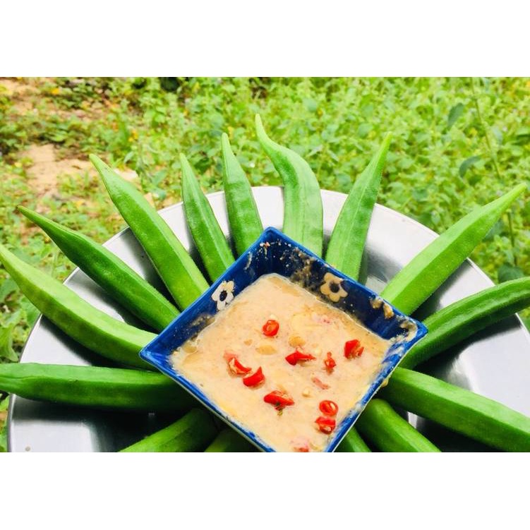 Hạt Giống ĐẬU BẮP TRẮNG PN01 - GÓI 50GR - PHÚ NÔNG - NHÀ NÔNG XANH