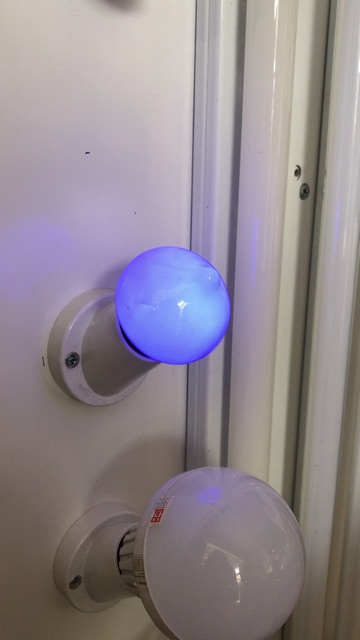 Bóng đèn led trái đào đổi màu Hoà Thái
