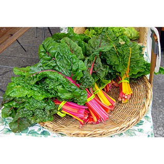  Gói 10g hạt giống cải cầu vồng