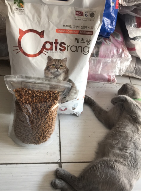 Catsrang gói 1kg cho mèo mọi lứa tuổi