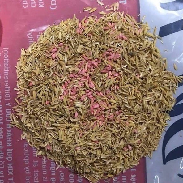 Thuốc Diệt Chuột Trộn Sẵn - Chết Siêu Nhanh
