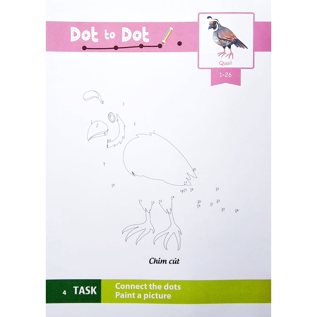 Sách Dot To Dot Coloring Book - Nối Số &amp; Tô Màu - Các Loài Chim