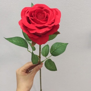 1 bông Hồng Nhung tuyết đẹp