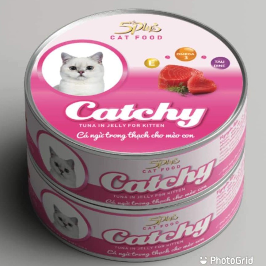 Pate lon dạng thạch 170gr Catchy 100% Thịt Thật Nhiều Vị