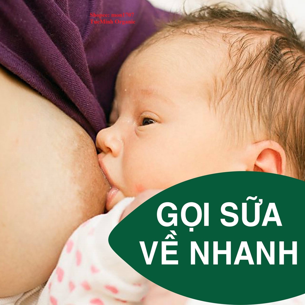 [Mã BMLTA50 giảm đến 50K đơn 99K] Cao chè vằng lợi sữa thương hiệu Tuệ Minh, hộp 500 gram 20 miếng