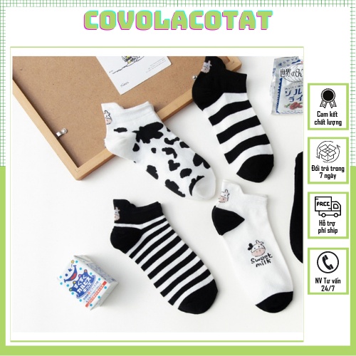 Tất nữ ngắn cổ nhiều hình phong cách hàn quốc set 5 đôi kèm túi covolacotat