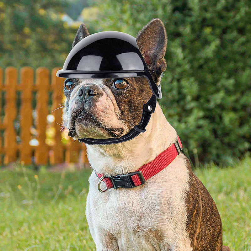 HamshMoc Mũ bảo hiểm cứng chống mưa nắng có dây đeo tai điều chỉnh cỡ nhỏ/vừa cho cún cưng đi xe máy