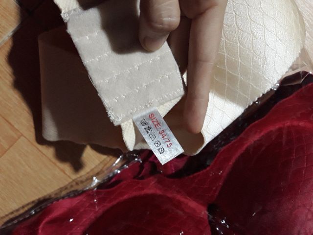 Áo đúc su không gọng xuất Hàn nữ