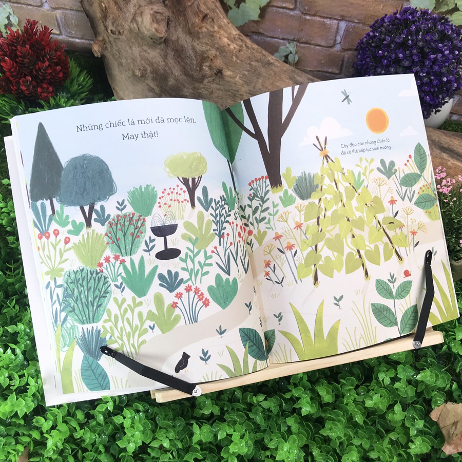 Sách - Câu chuyện khoa học: Sâu bướm và hạt đậu - A science storybook sbout growing