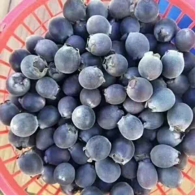 cách chọn sim ngâm rượu