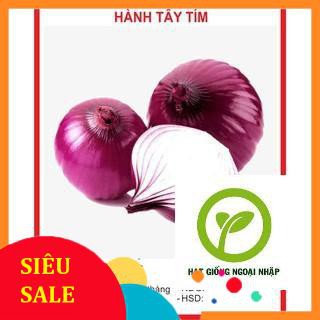 Gói 200 hạt giống hành tây tím hat f1