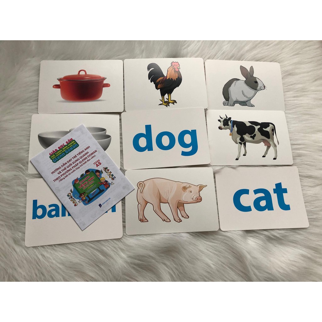 Flash card dạy trẻ thông minh sớm - Thẻ tiếng anh bằng hình cho bé ( Từ đơn, bìa cứng khổ A5 với 152 thẻ và 15 chủ đề)