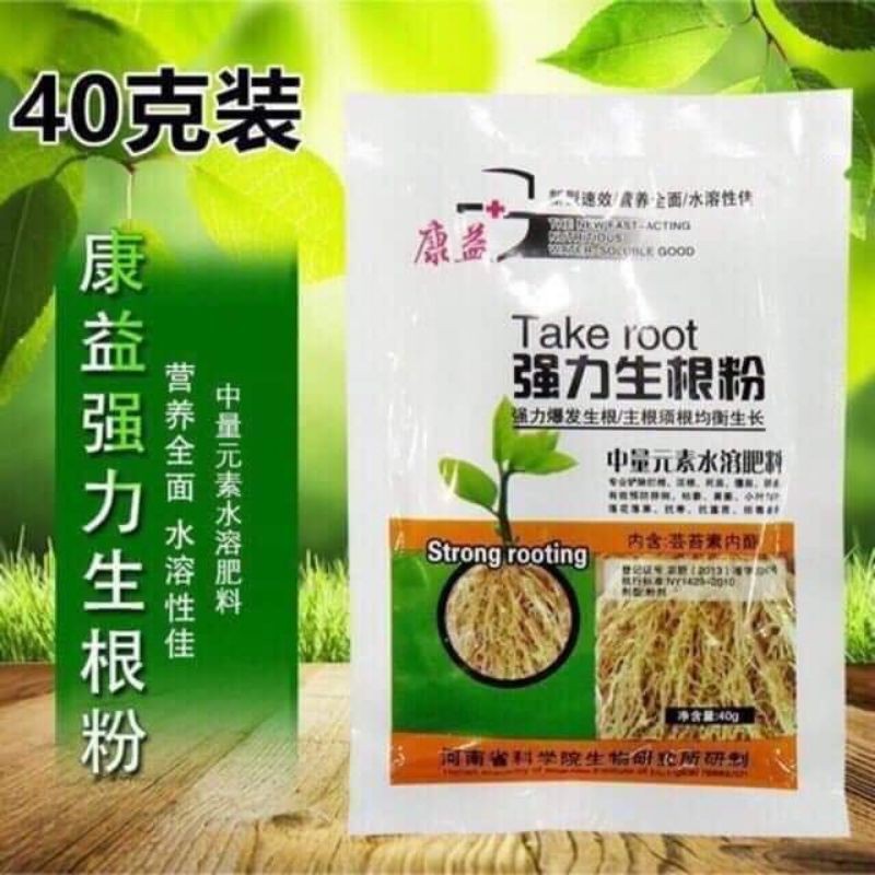 combo 5 gó kích rễ take root